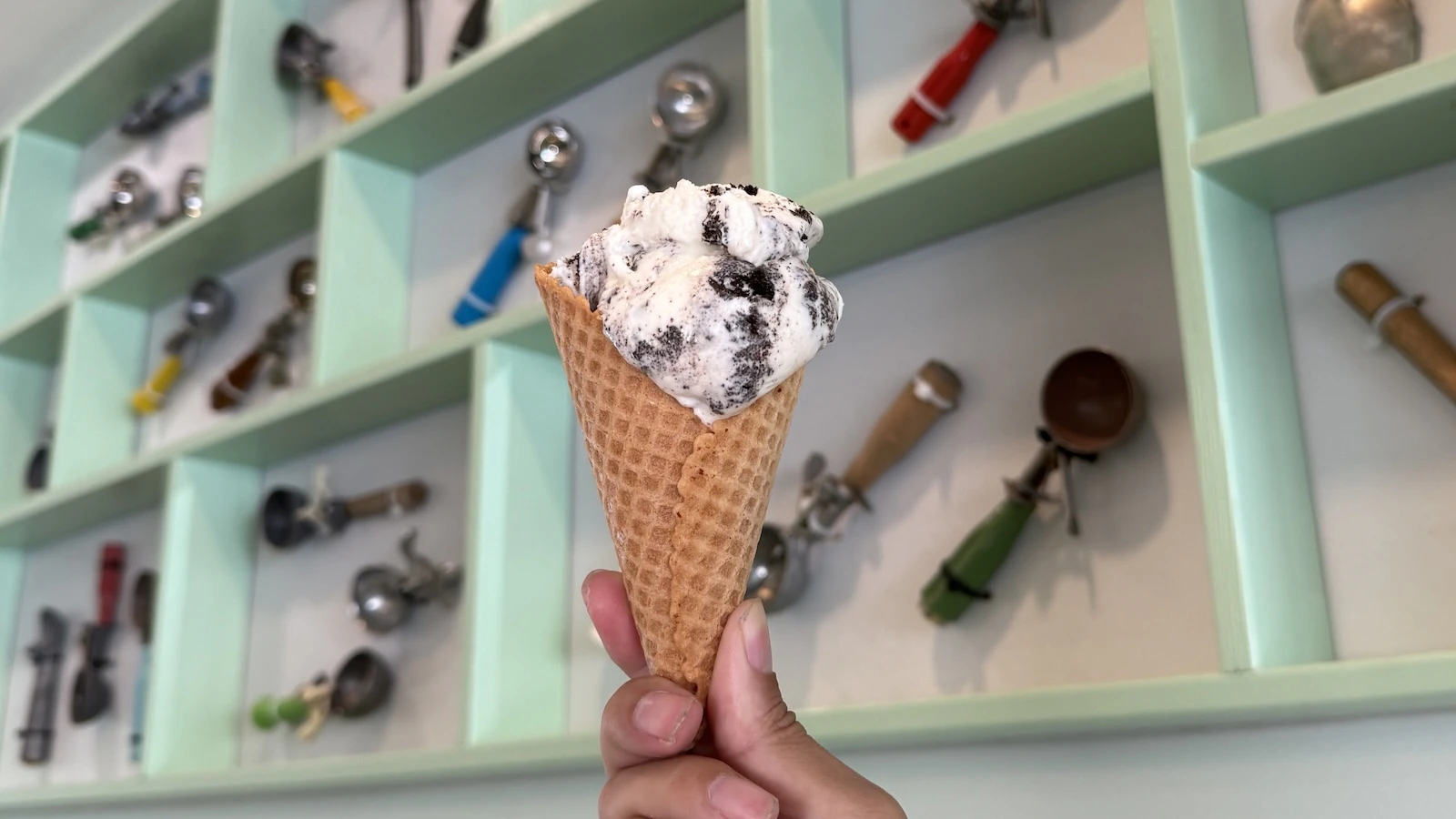 single scoop of cookies and cream ice cream
