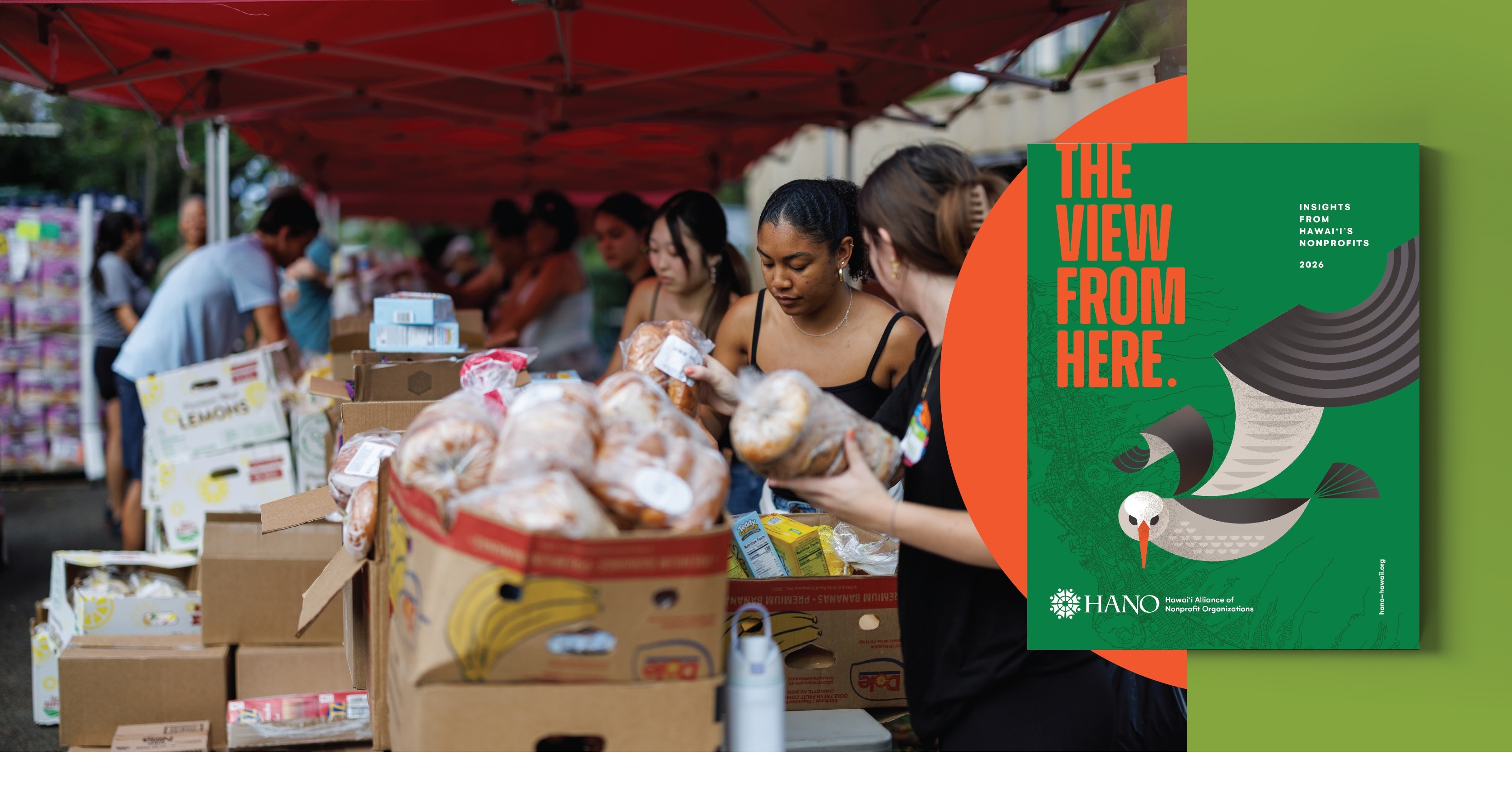 Hawaiʻi Alliance of Nonprofit Organizations' The View From Here report was released in May 2026.