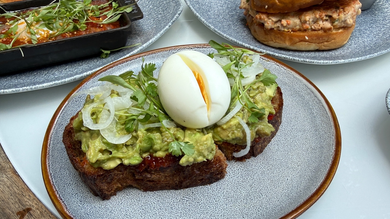 avo toast