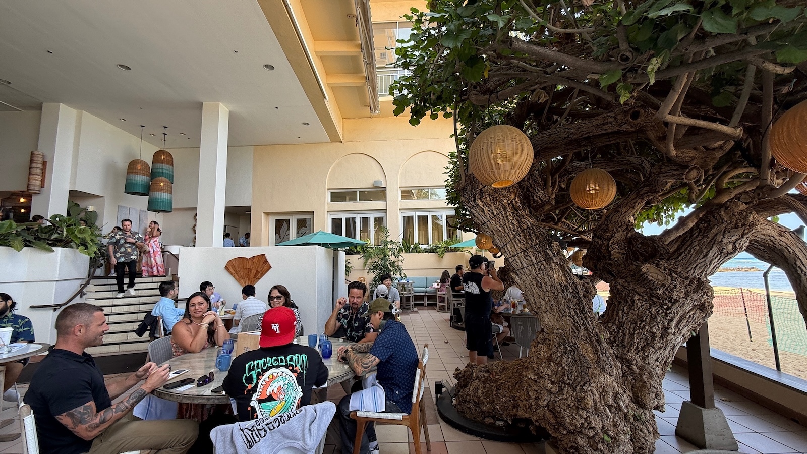 Hau Tree setting
