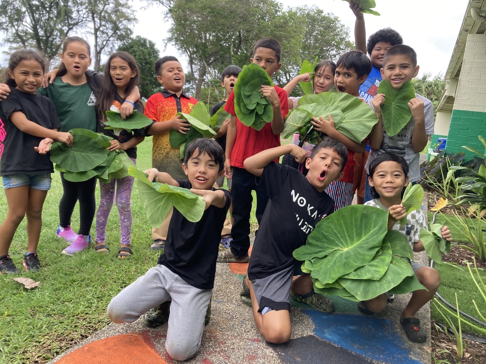 The Hoʻopili ʻAi program connects educators, students and families with nutritious Hawaiʻi-grown foods such as ʻulu (breadfruit), kalo (taro), ʻuala (sweet potato) and more through free educational resources, classroom activities and farm-to-school sampler boxes.