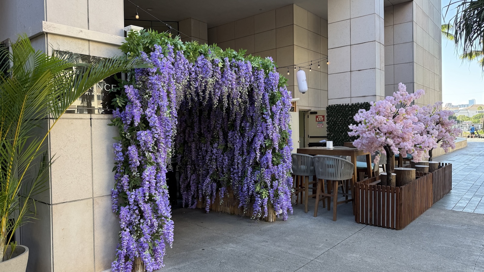 House of Sakura entrance