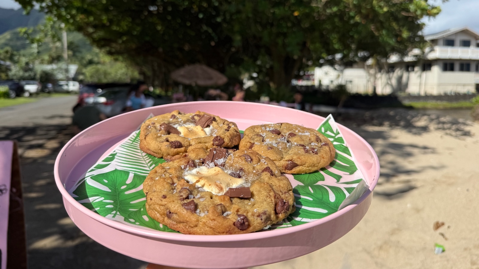 sourdough cookies