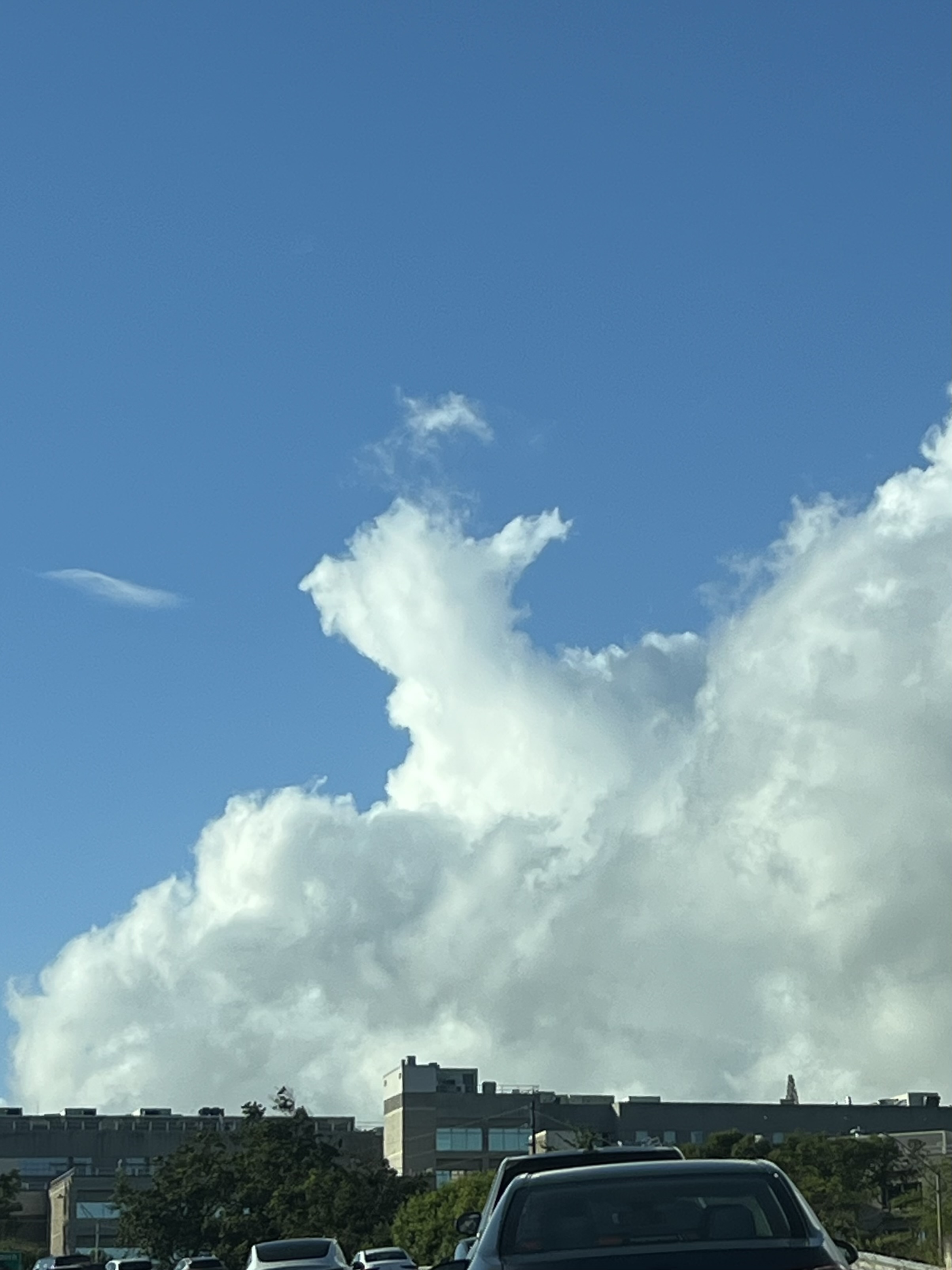 A thumbs up from the sky
