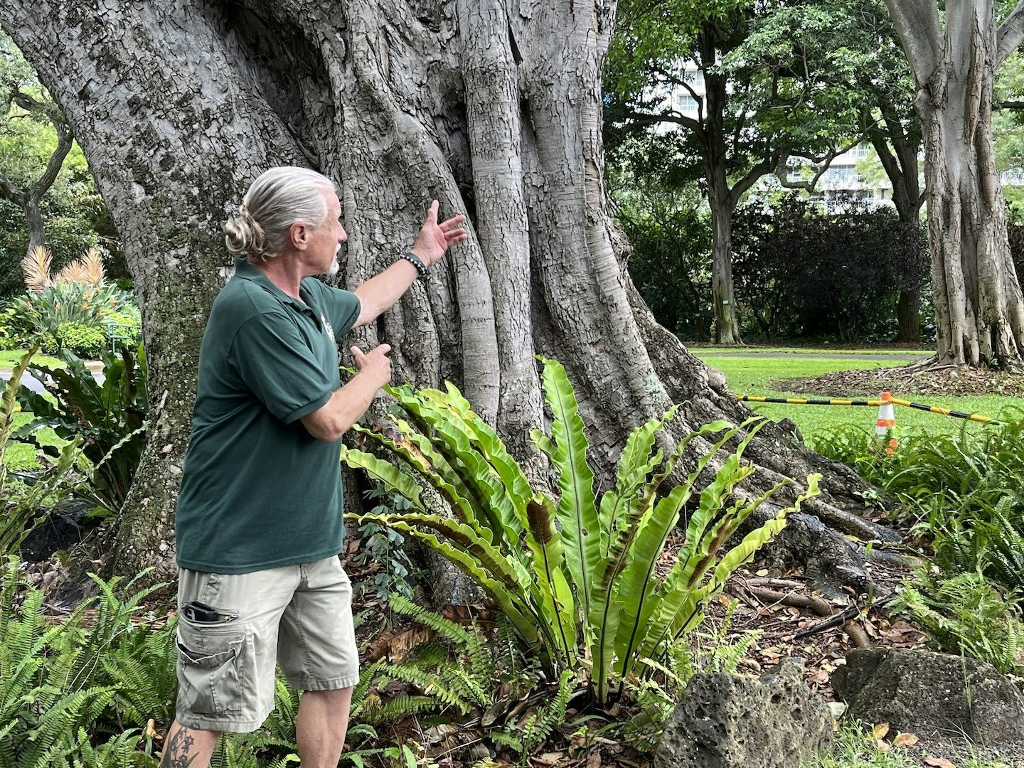 Docent Craig Ball in front of the Bodhi Tree at Foster Botanical Garden.