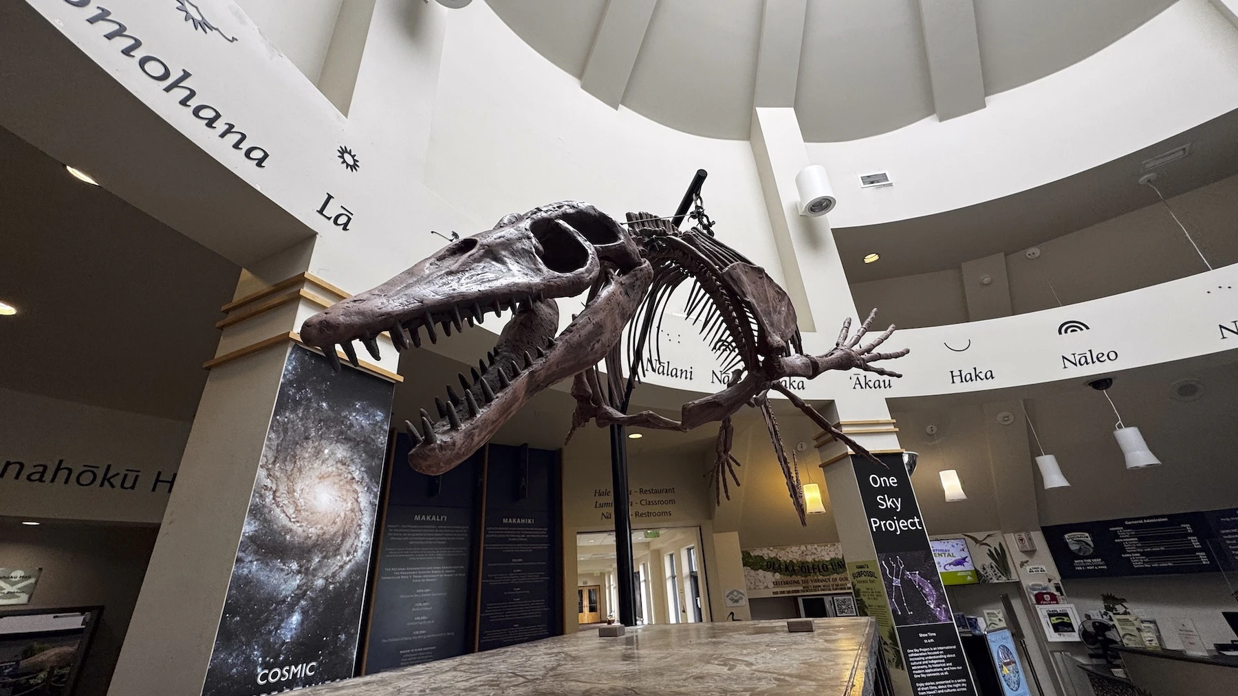 Aquatic dinosaurs visit Bernice Pauahi Bishop Museum