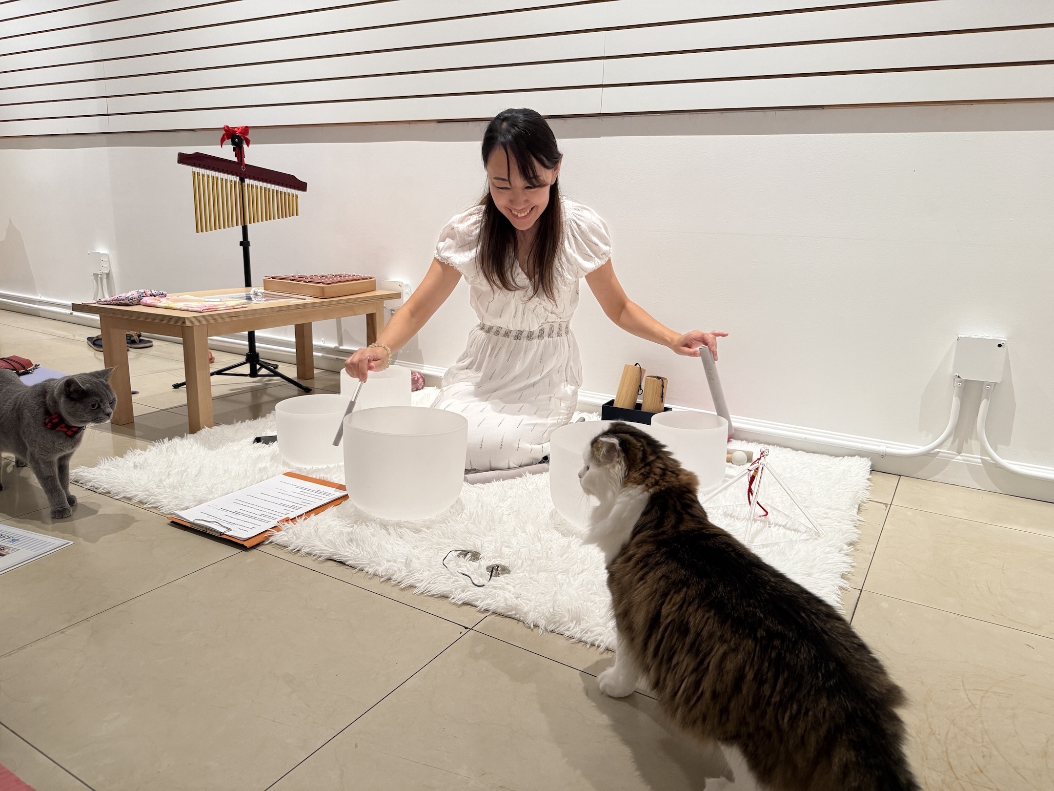 Want the purrfect sound bath?