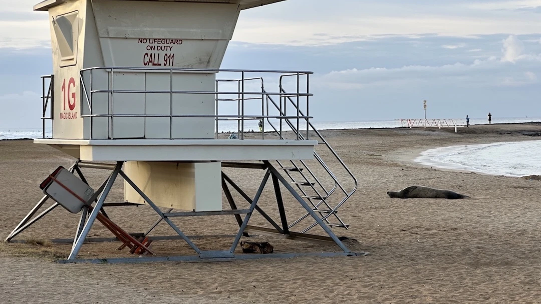 City and County of Honolulu searches for chief of ocean safety