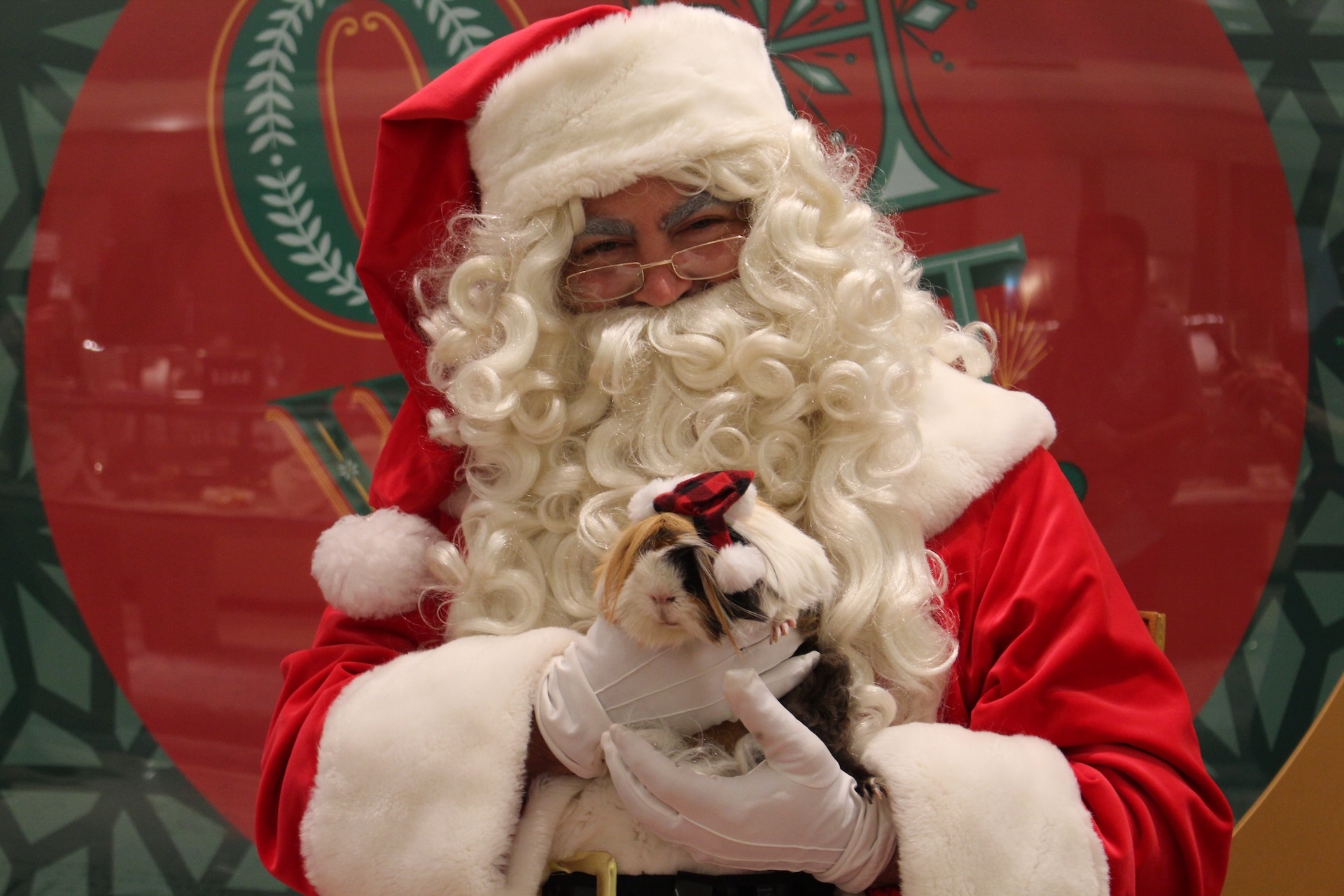 Santa poses with a pet at a past Santa Paws event.