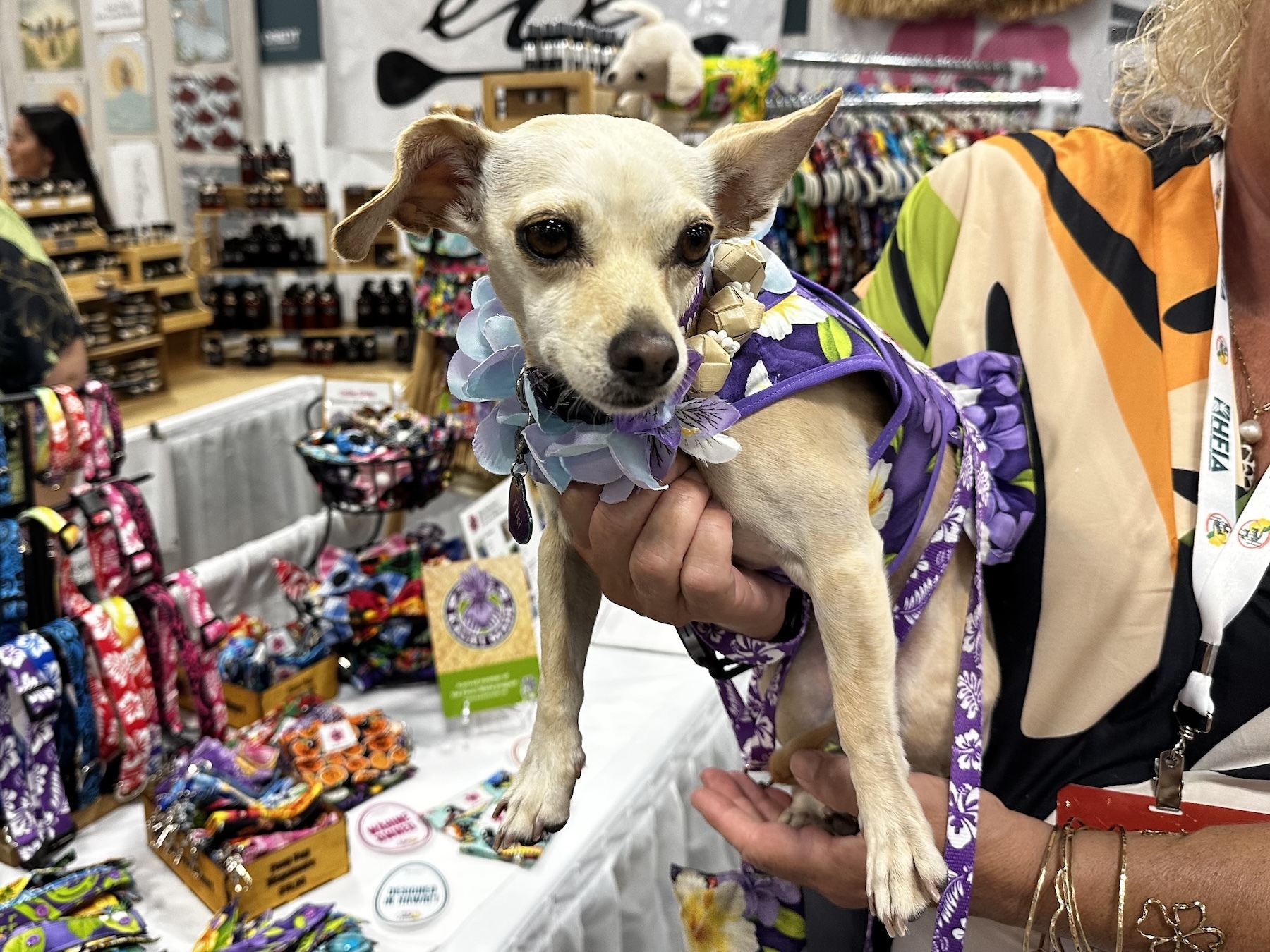 Tiki models one of the Aloha Paws Kaua’i designs created by Kaua’i resident Beth Kraimer.