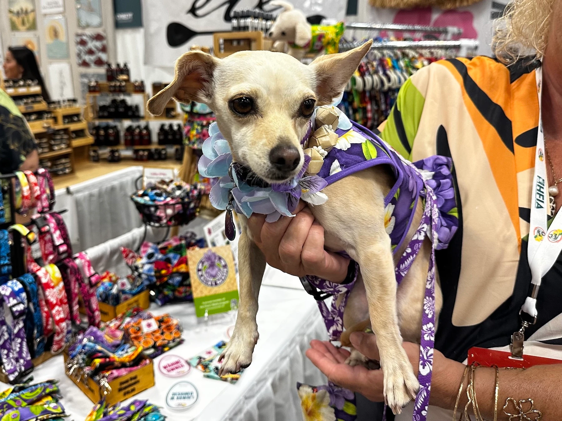 Tiki models one of the Aloha Paws Kaua’i designs created by Kaua’i resident Beth Kraimer.