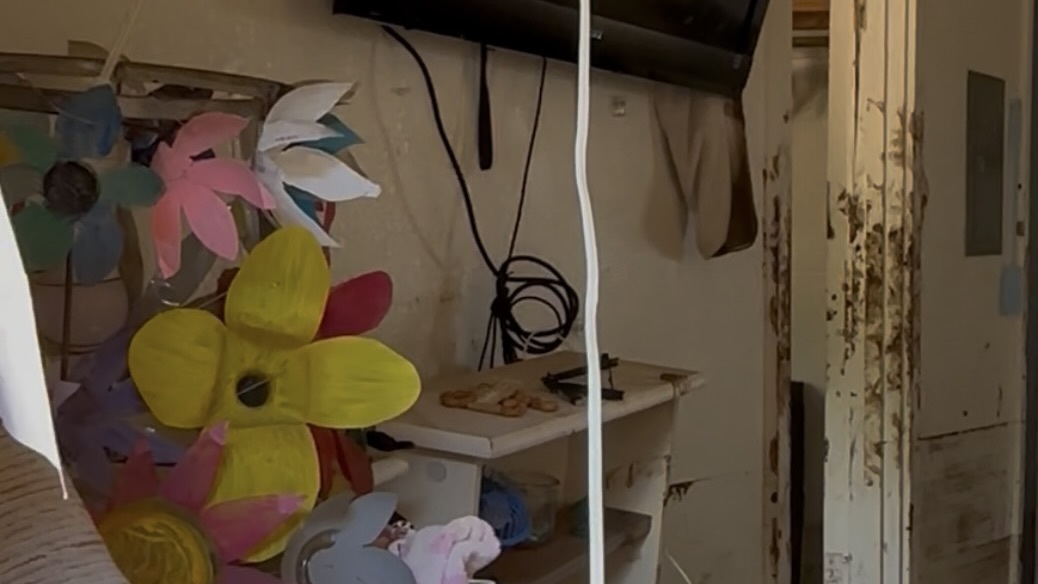 Mud covers the floors of the houses destroyed at Otake Camp. This one still contains a splash of color with these paper flowers.