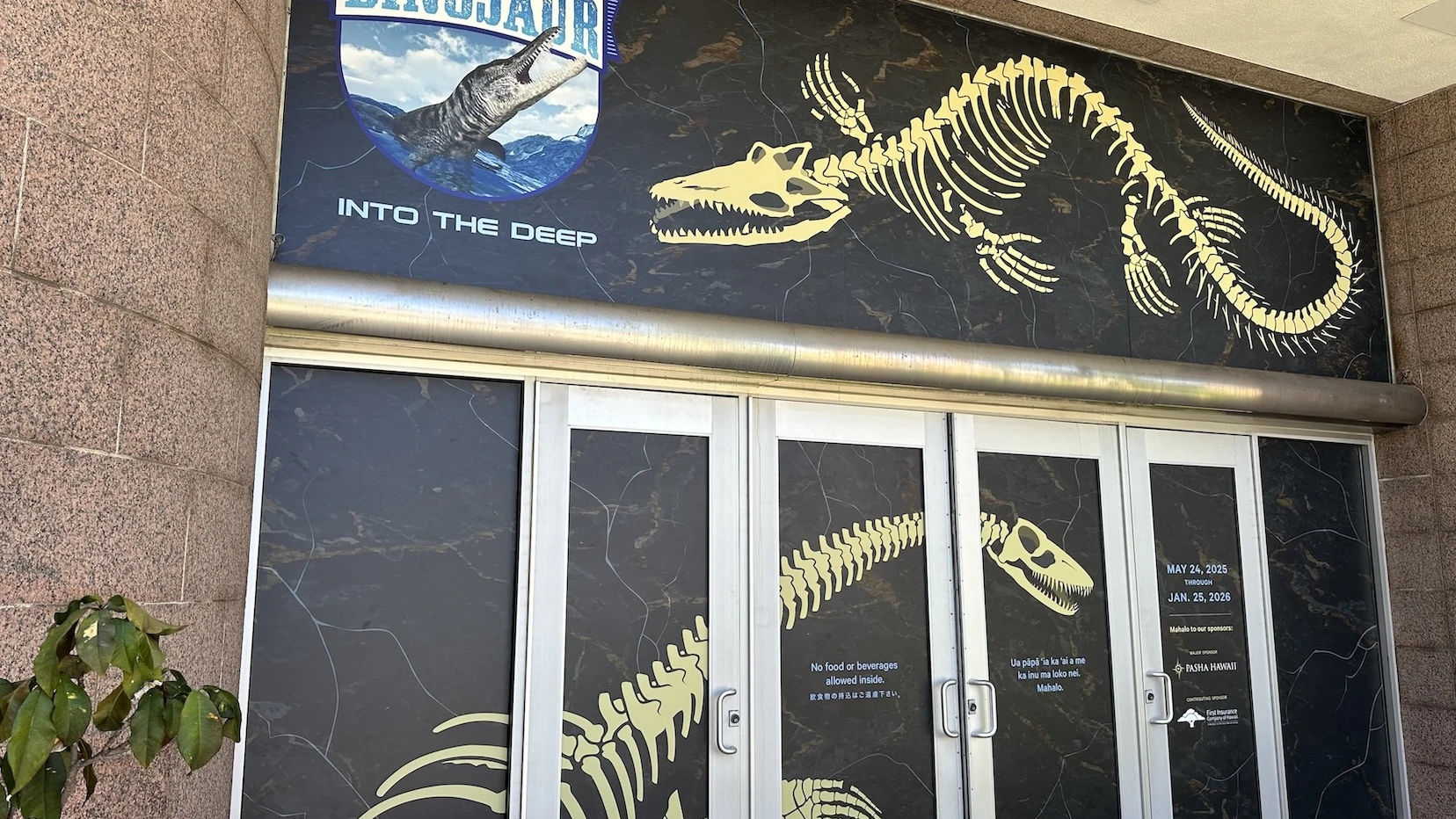 Dinosaurs spotted at Bishop Museum, and we've got video proof!