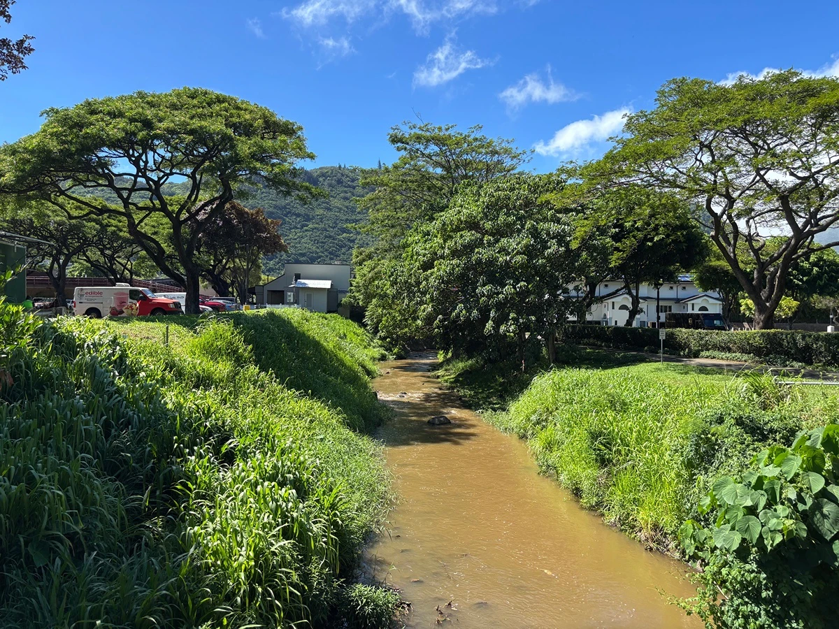 Mānoa Stream flows under Woodlawn Drive on Monday, Aug. 3, 2026. Flood mitigation activities started Monday.