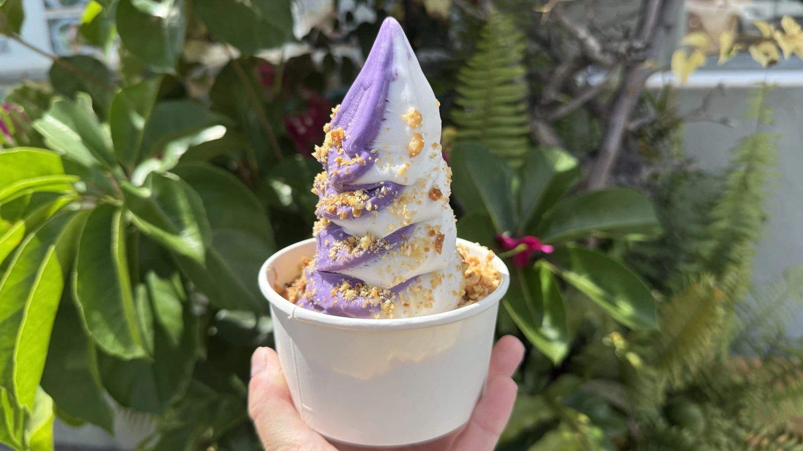 hot kulolo sundae