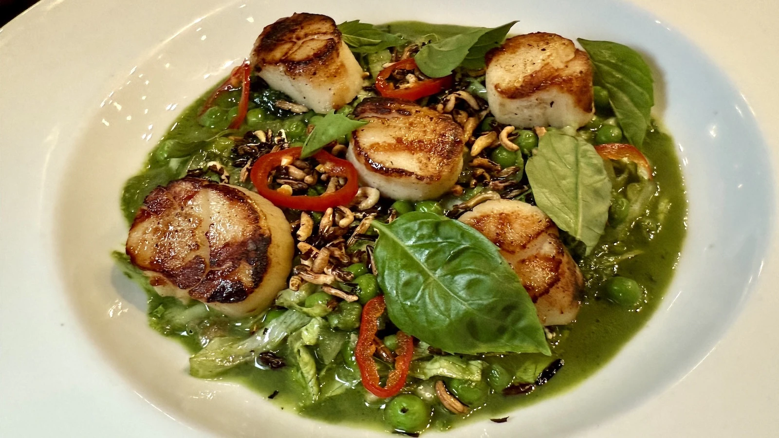 hokkaido scallops in green curry sauce