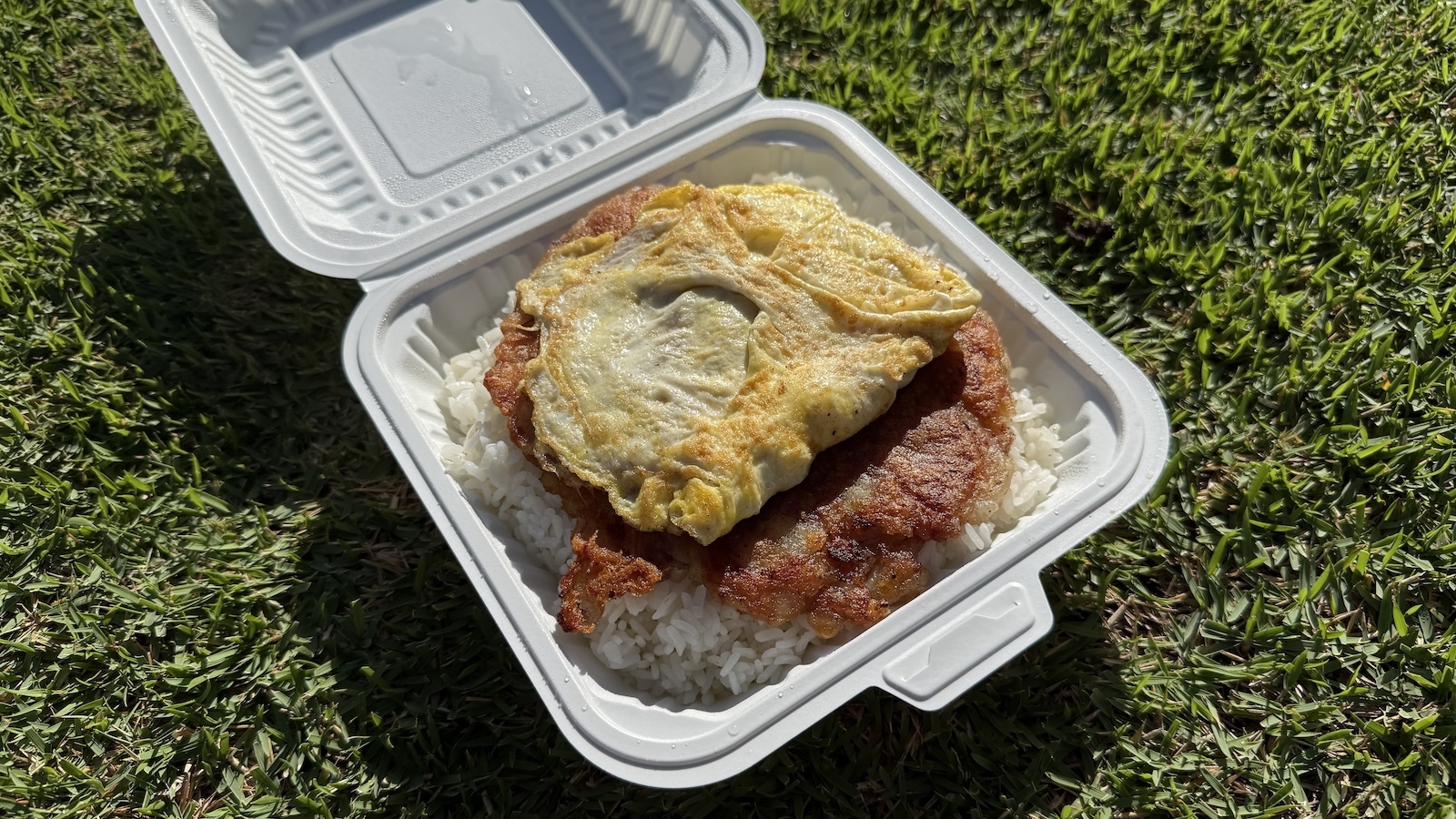 corned beef hash plate