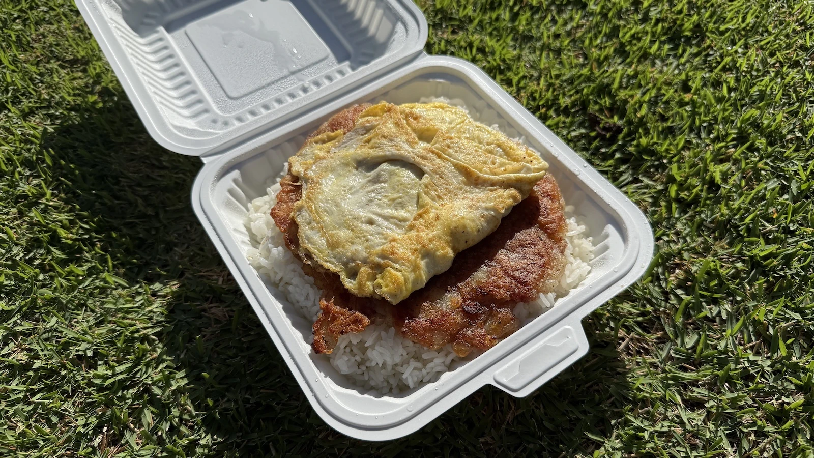 corned beef hash plate