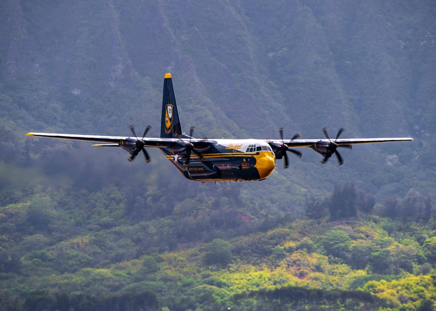 U.S. Navy Blue Angels.