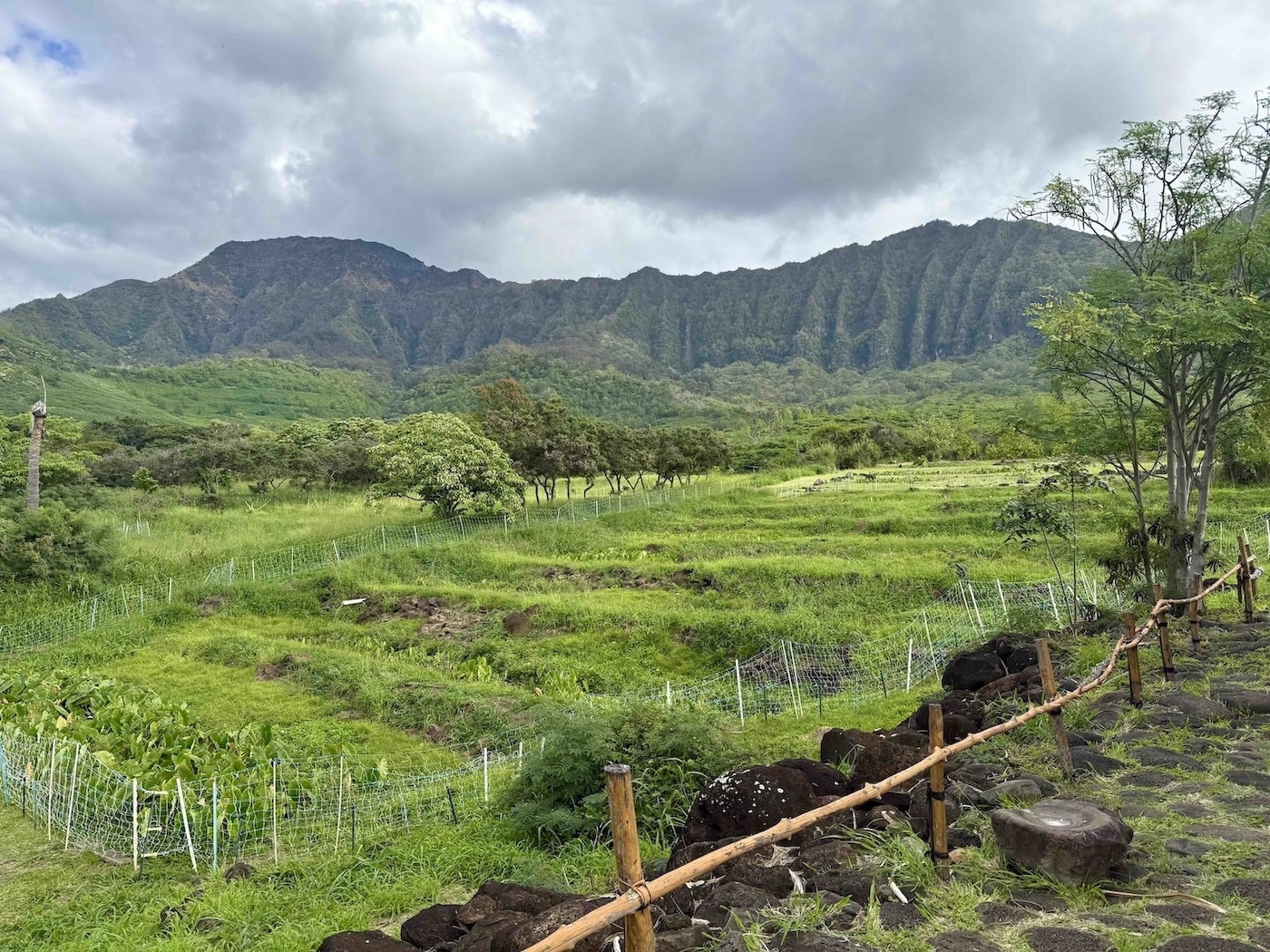 Mālama ‘āina is caring for the land as a foundation for community well-being.