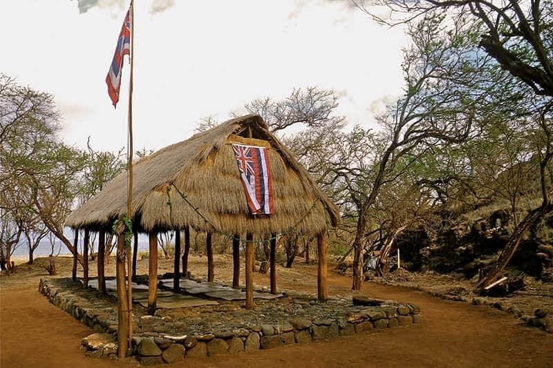 The ʻOhana has established residence on Kohemālamalama with this traditional hale hālāwai Nāmakapili at Hakioawa. Other construction project include the Hāweoikeaopili pavilion, the pā hula Ka ʻIeʻie, and two additional base camps at Kūheʻeia and Ahupū. – Photo: Momi Wheeler