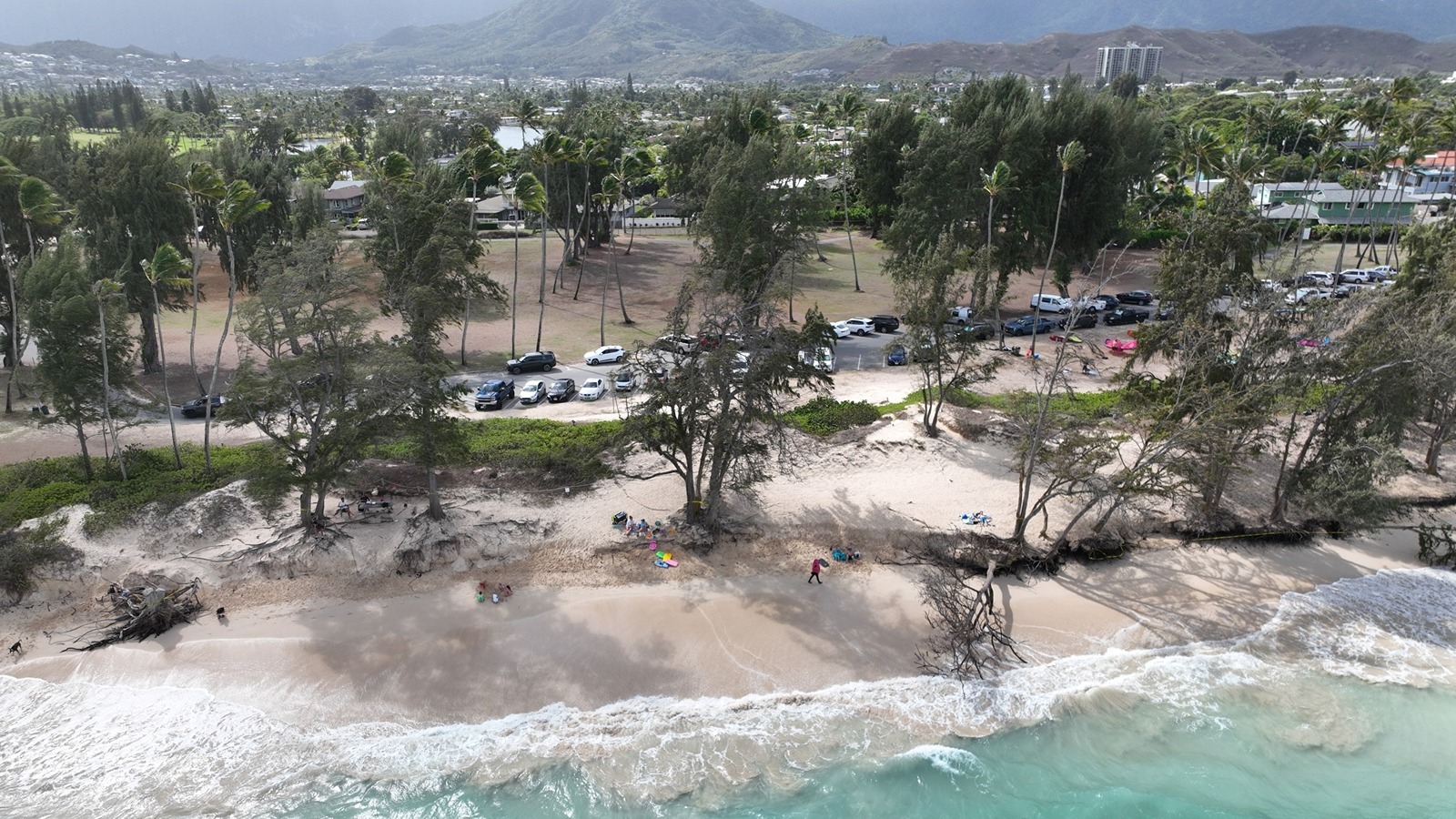 Portion of Kailua Beach Park to close for tree removal