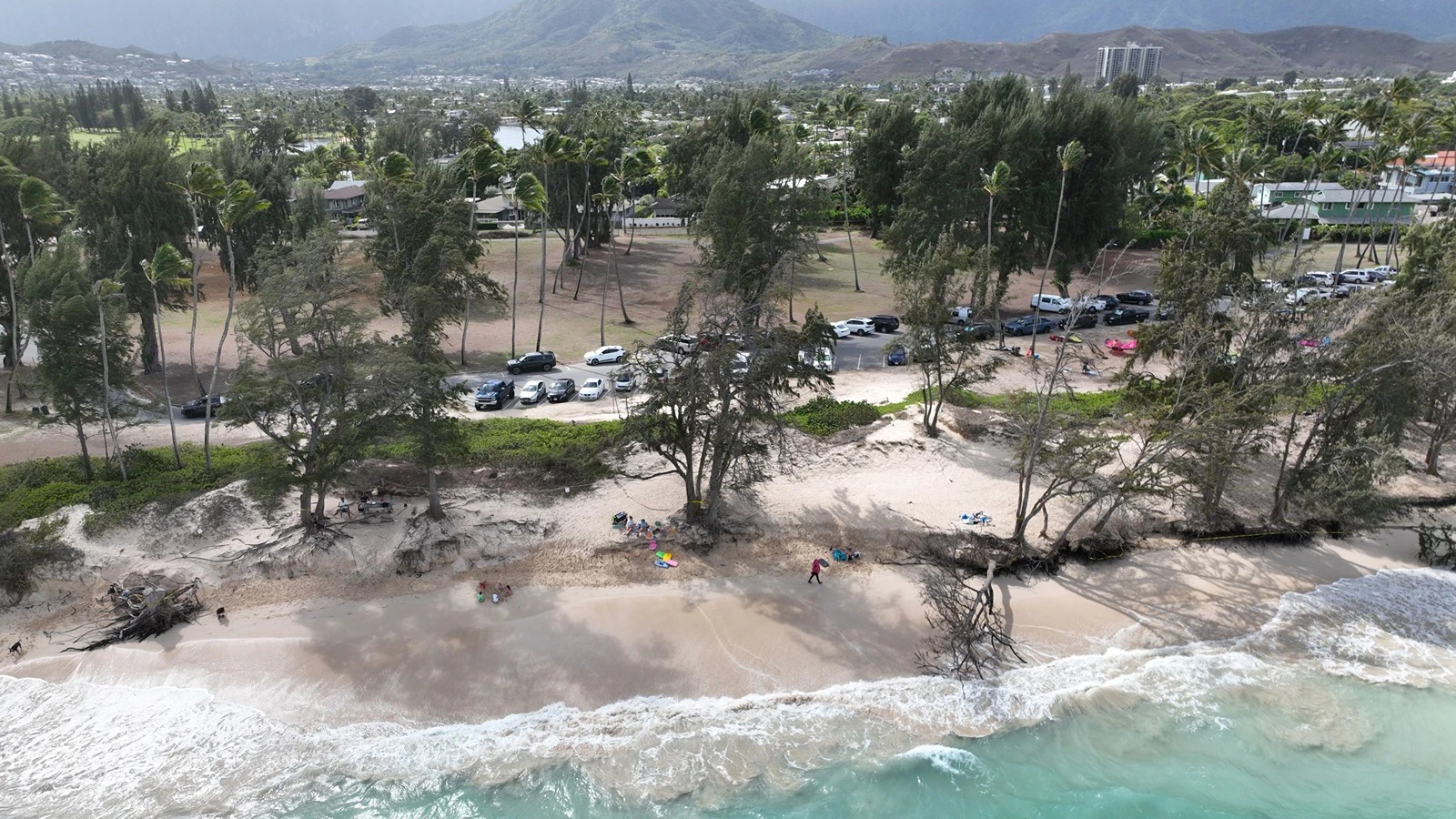 A portion of Kailua Beach Park will be closed daily Dec. 8 to 11 to allow for the removal of a dozen ironwood trees. A drone view of the beach park is pictured here.