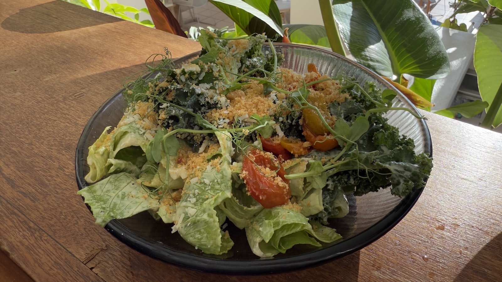 Miso Caesar salad