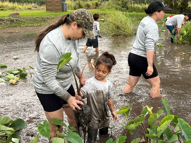 A woman and a child hold kalo in the loi.