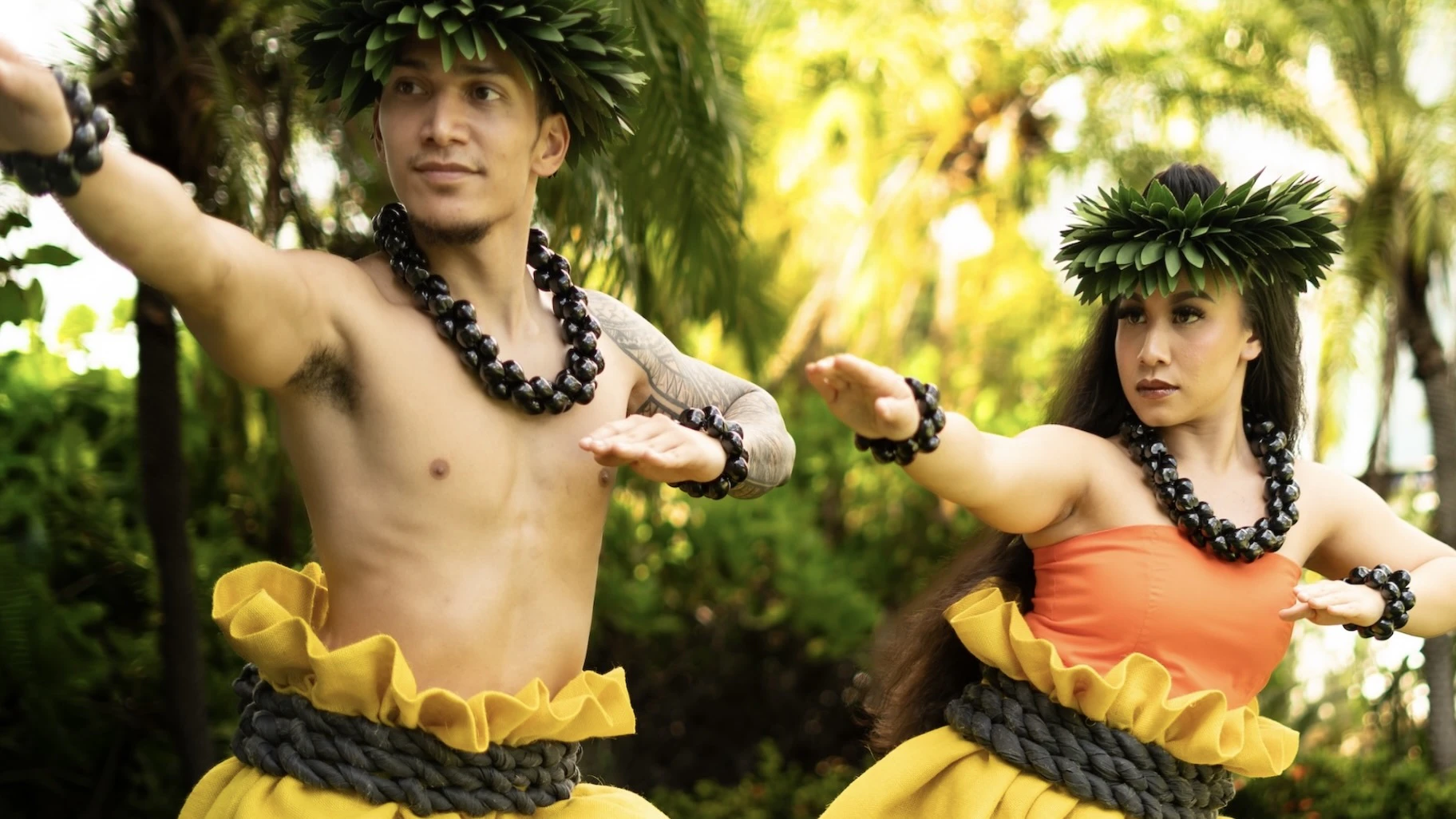 Kaula Lūʻau features 27 cast members, some of which were former employees of Paradise Cove Lū‘au, which closed in December of 2025.