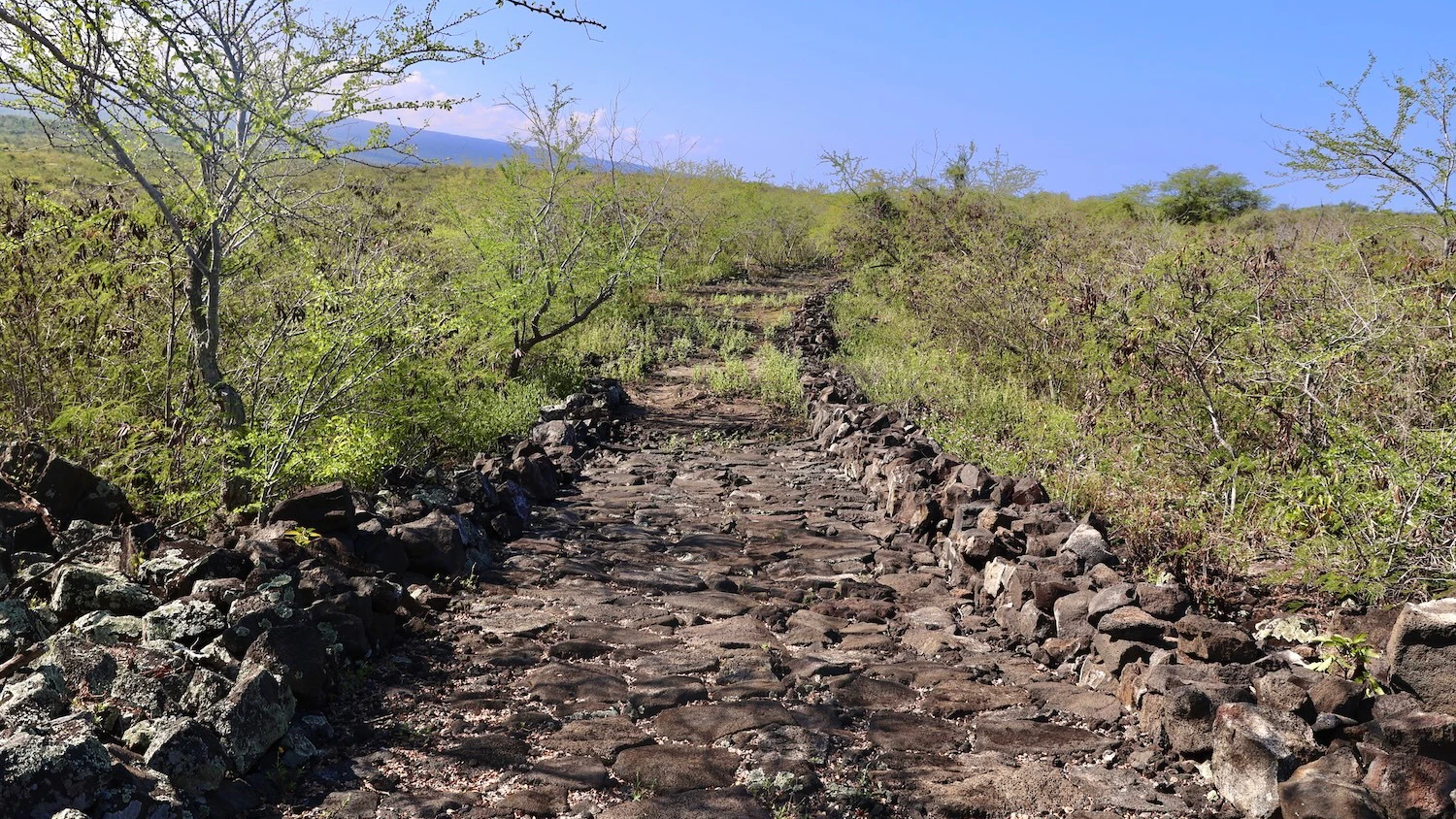 Public input sought for Kauleolī plan in South Kona