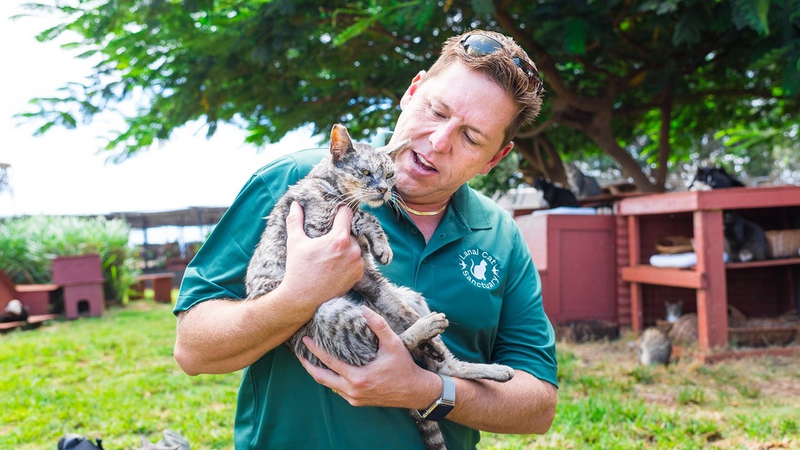 Keoni Vaughn, executive director of Lāna‘i Cat Sanctuary.