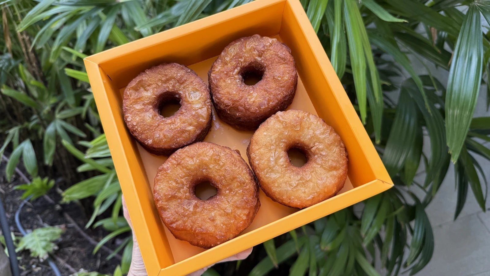Cronuts