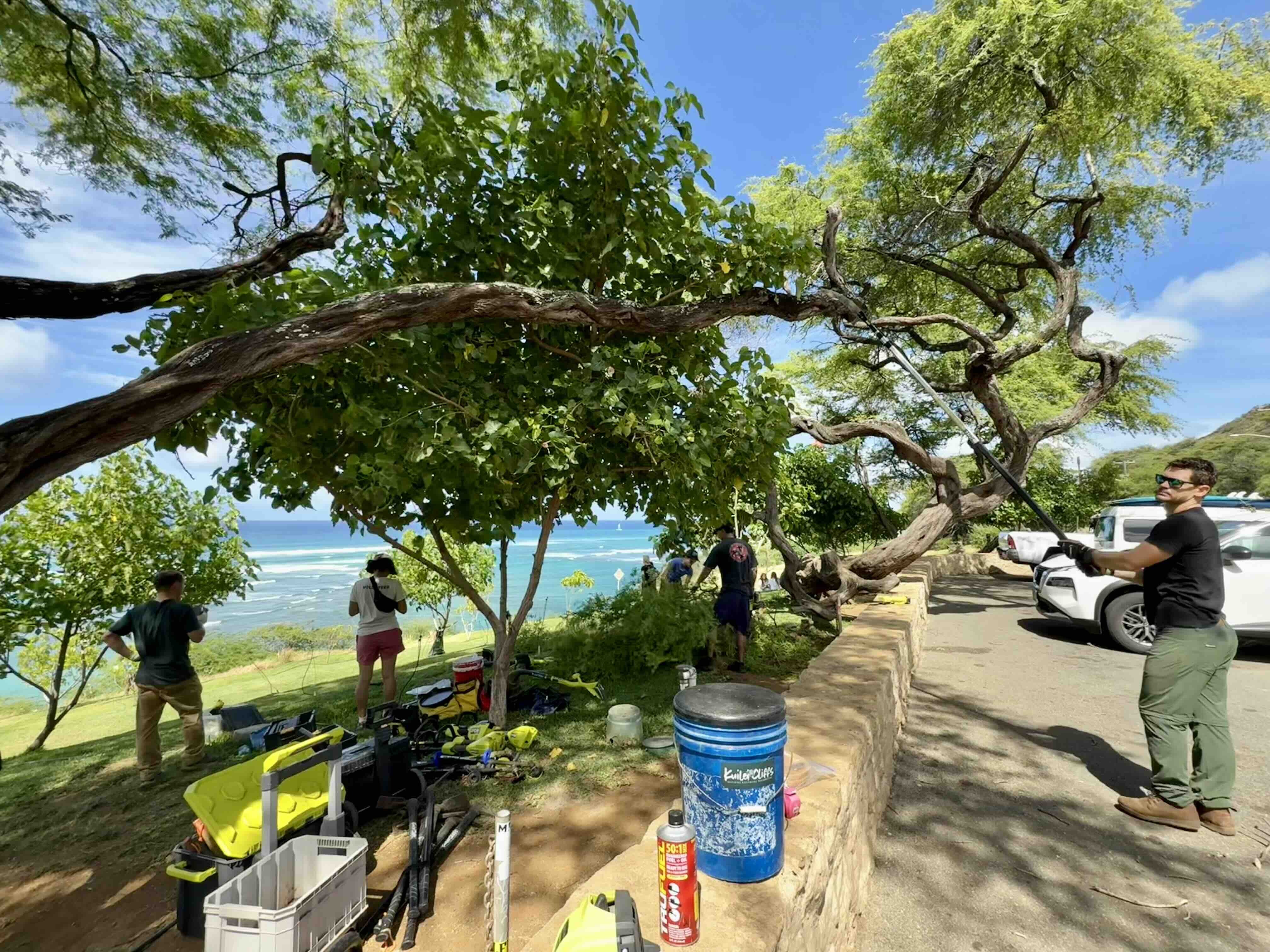 Kuilei Cliffs volunteers gather every Saturday morning from 8 to 11 a.m. at 3470 Diamond Head Road. Photo by Kelsey Kukaua Medeiros