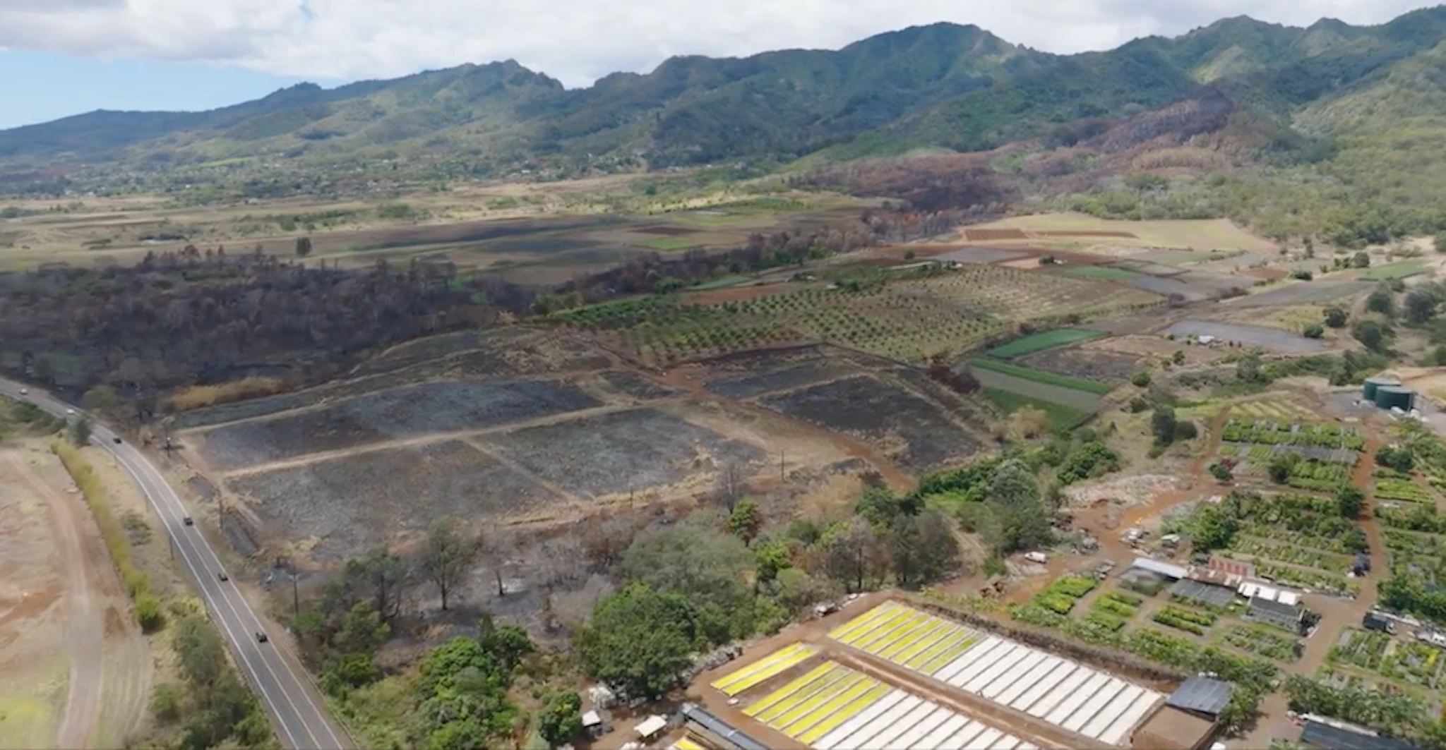 Month-long fundraiser to support Kunia farmers, businesses