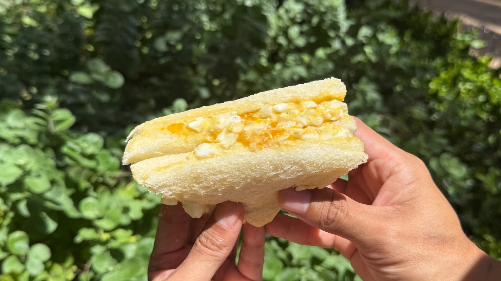 La Tour Cafe egg sando