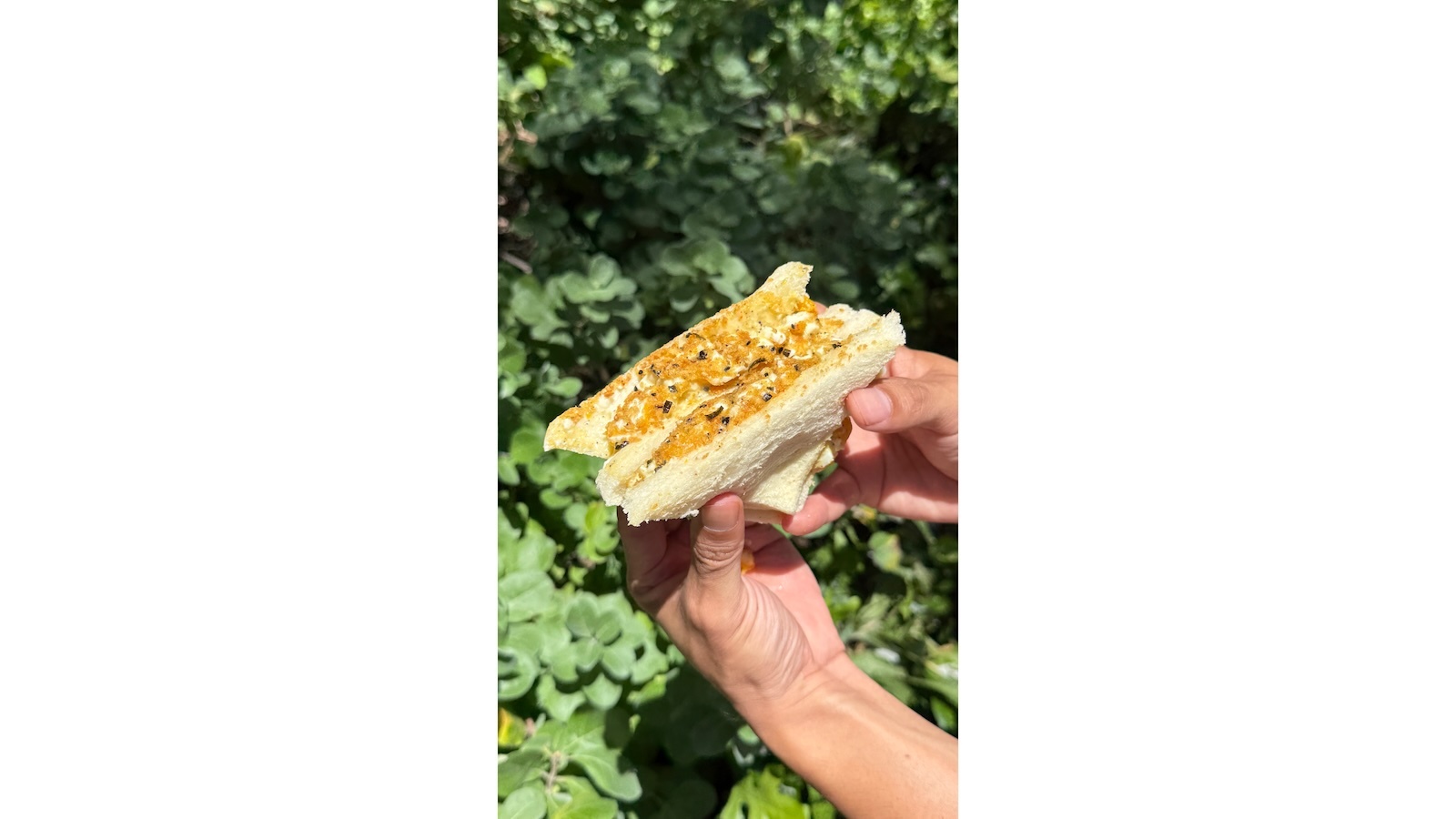 truffle egg sando
