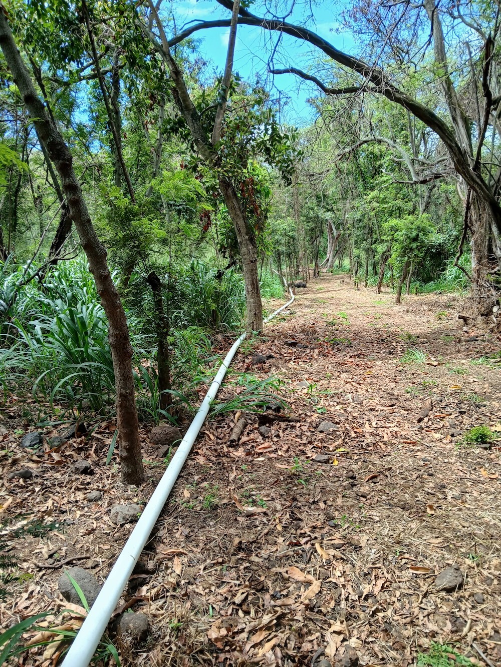 A recent work day included clearing land and installing waterline.
