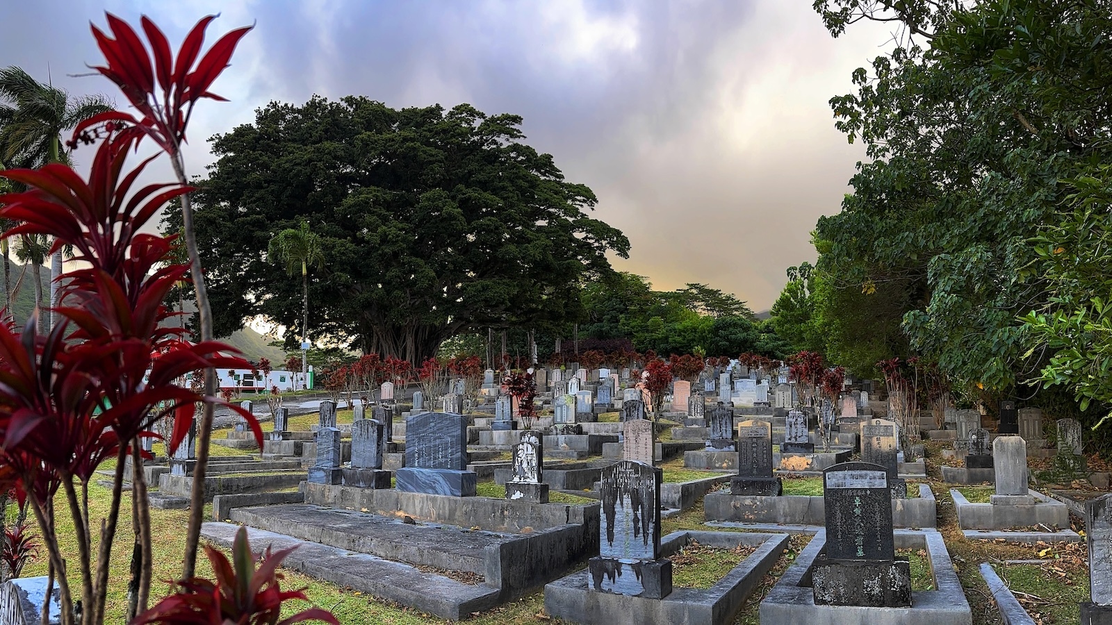 Hawaiian History Meets Feng Shui