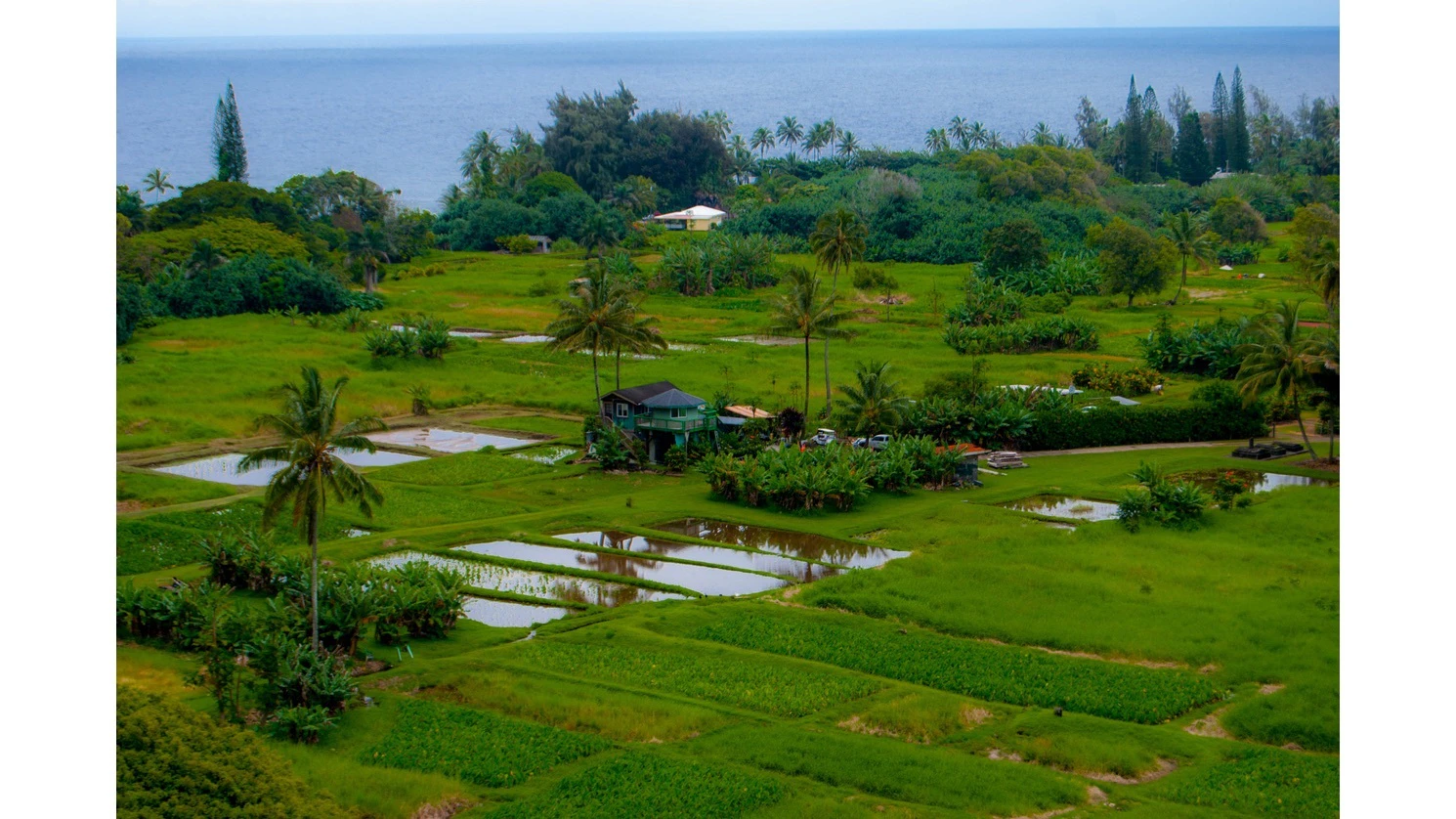 Maui farm village