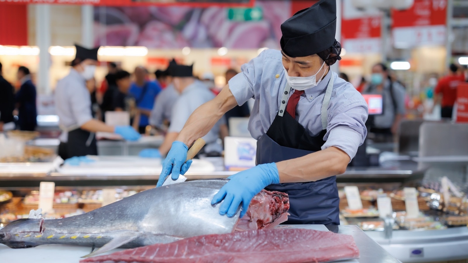 tuna cutting demonstration