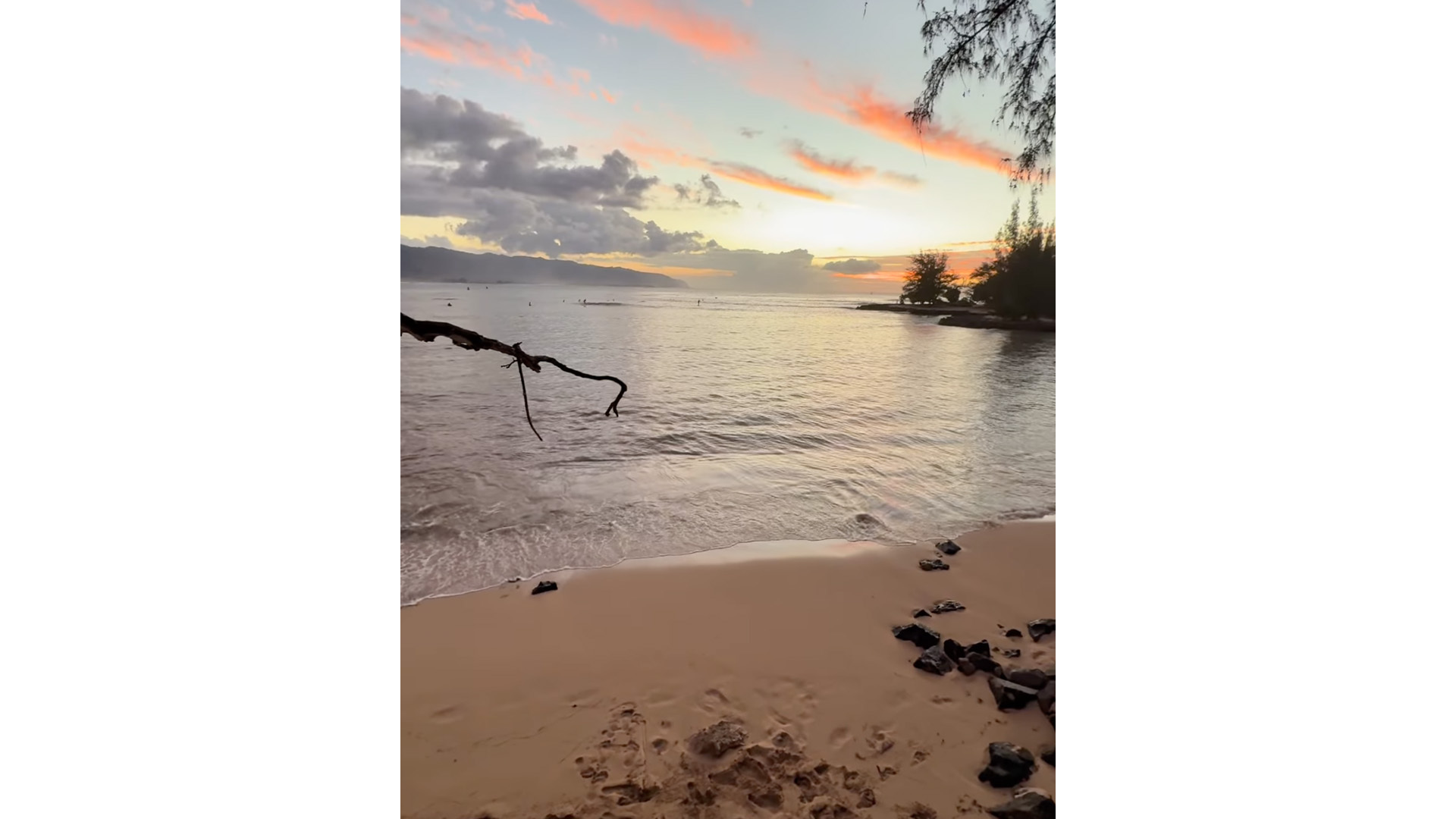 Hawai‘i Scene on Social: Daddy Day Care