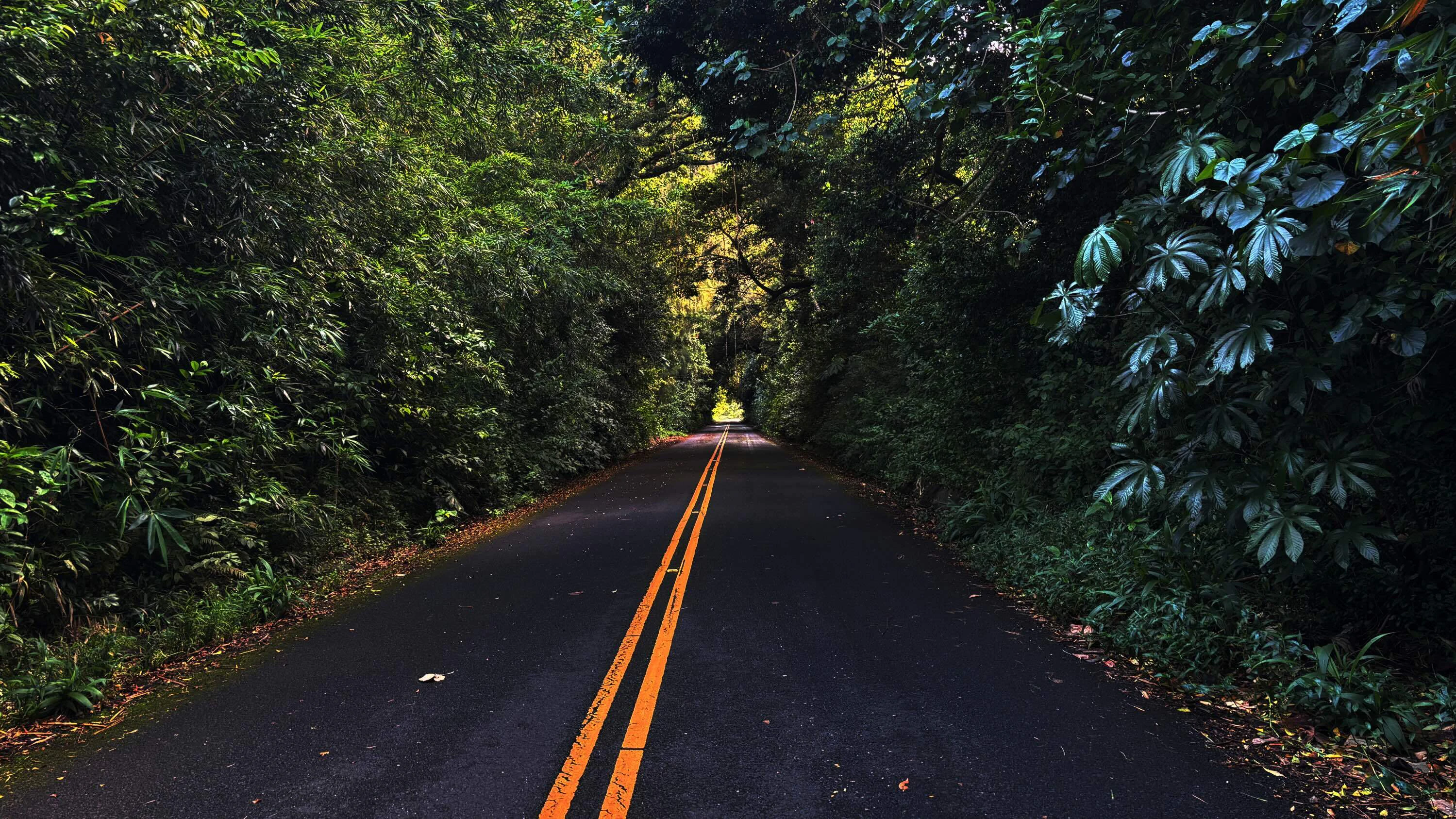 Beware Nu‘uanu Pali Drive
