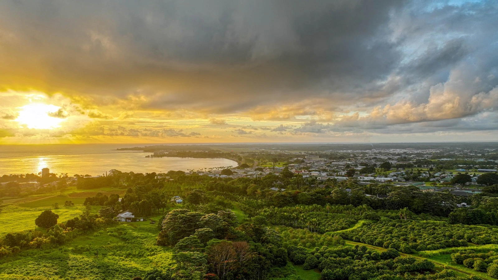 An aerial view of O.K. Farms in Hilo.