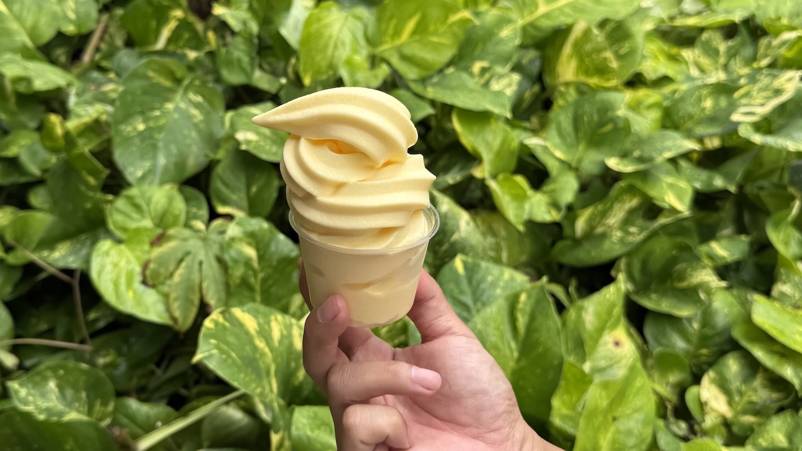 Dole Whip