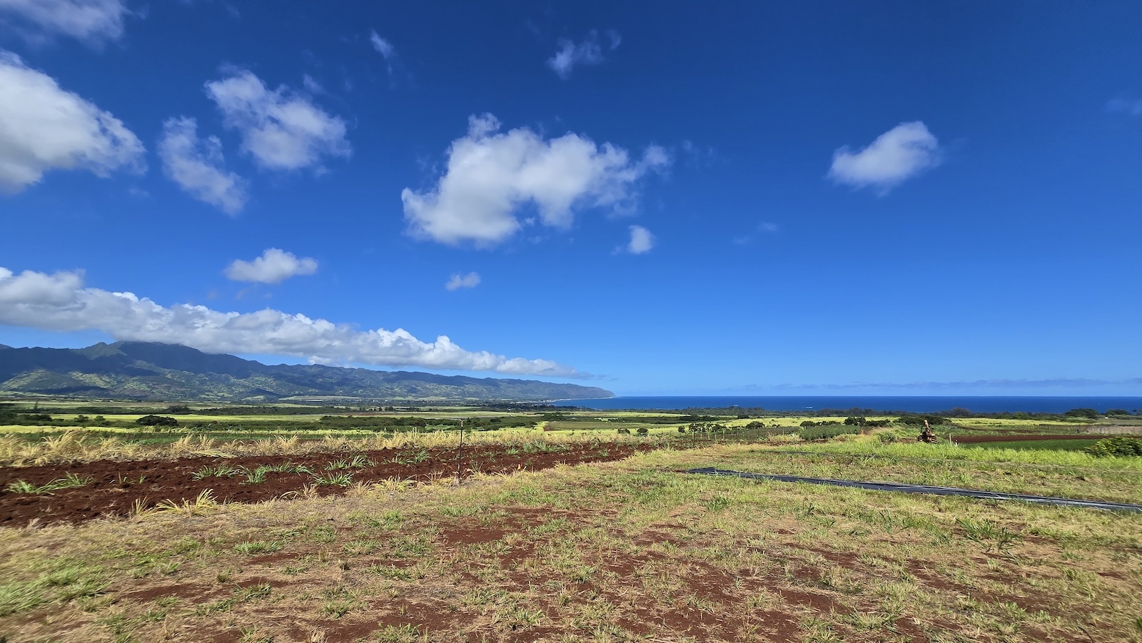 Nonprofit Pacific Gateway Center has launched PGC Farms Hale‘iwa, a new 80-acre agricultural hub on land owned by Kamehameha Schools.
