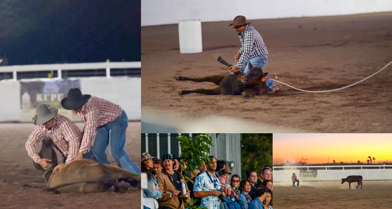 Third-generation paniolo Aki Smith produced the show, choosing its eight signature rodeo acts — from team roping and double mugging and more — three of which guests will get the chance to participate in. Photos by Dave Deuchler & Keanu Captures