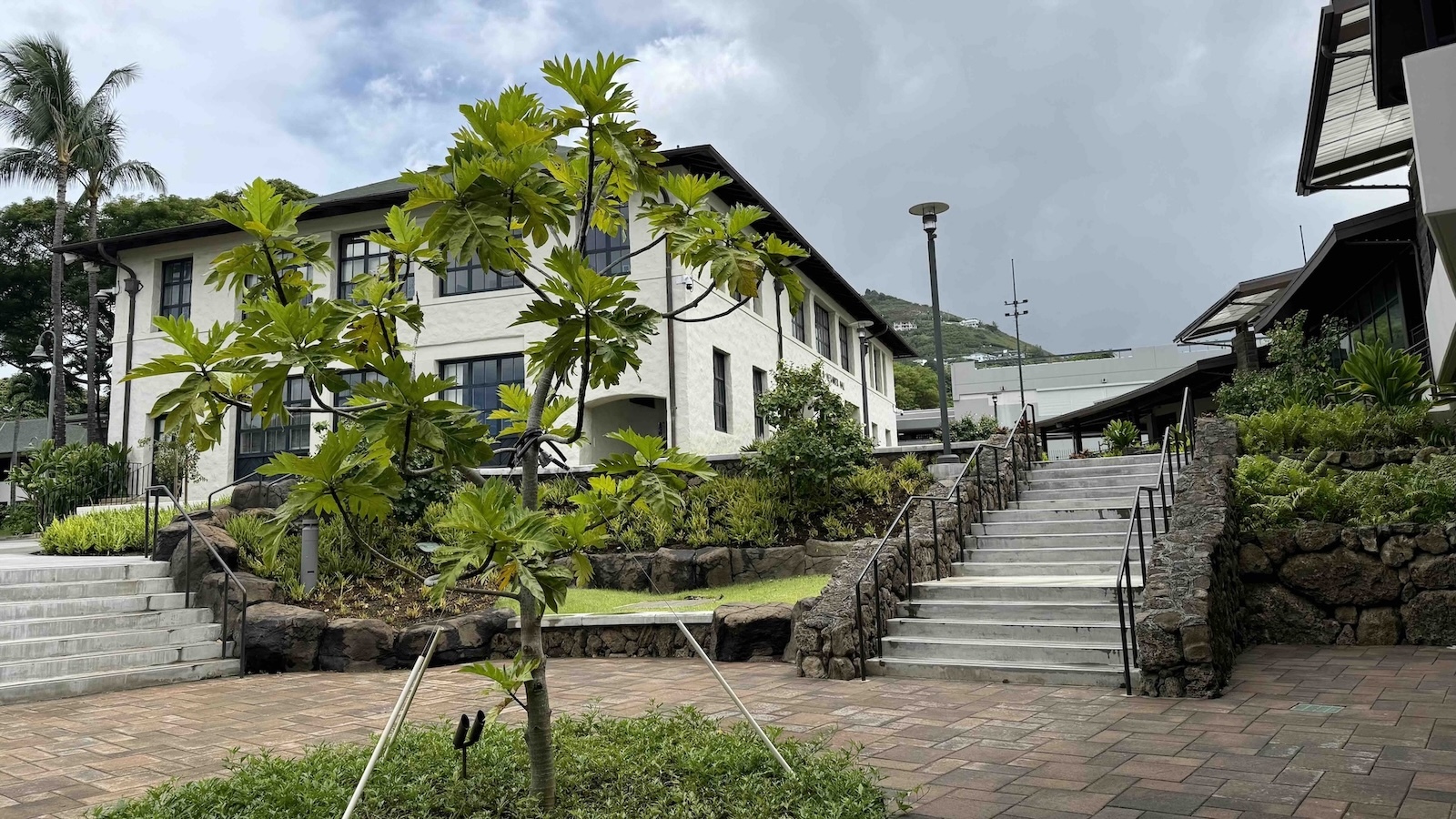The new learning commons has a teaching kitchen headed by local chef Mark Noguchi and outdoor garden space to grow ʻulu, kalo, ʻuala (sweet potato) and hōʻiʻo (fern). Photo by Kelsey Kukaua Medeiros