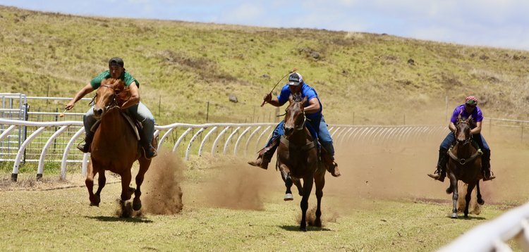 Parker Ranch built a race track in Waimea to support its thoroughbred breeding program.