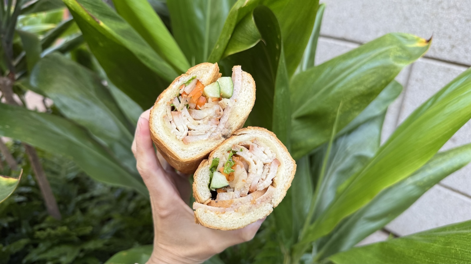 special banh mi